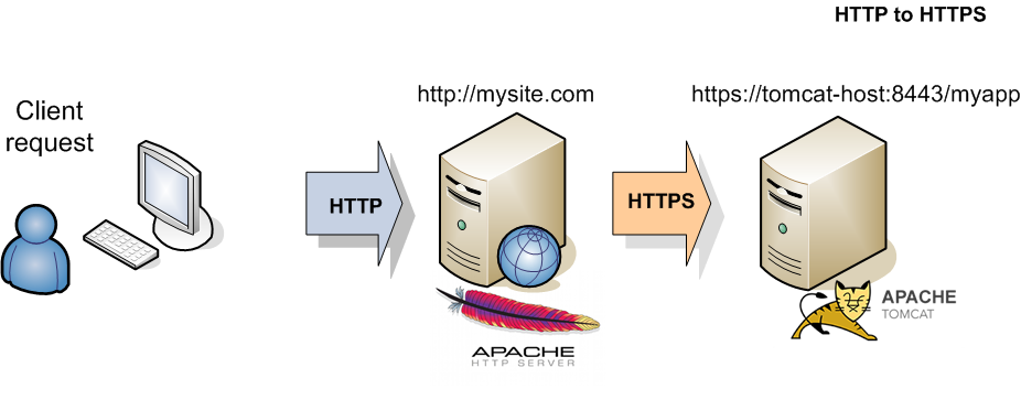 HTTP vs HTTPS: Understanding the Difference and Why It Matters